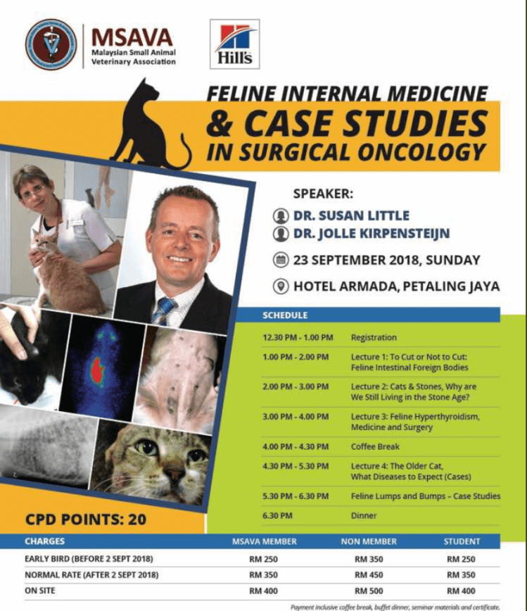 Screen Shot 2018-09-30 at 9.09.50 AM